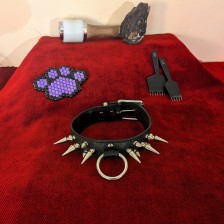 Dangerous Animal Collar