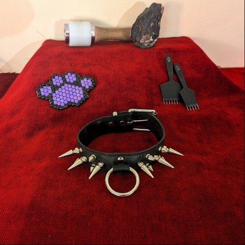 Dangerous Animal Collar