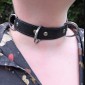 Dee-Ring Collar