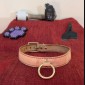 O-Ring Collar