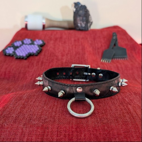 Spiked O-Ring Collar